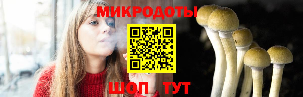 Галлюциногенные грибы Cubensis Якутск